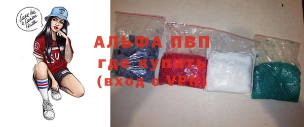 стаф Анива