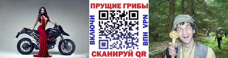Псилоцибиновые грибы MAGIC MUSHROOMS  Тайшет 