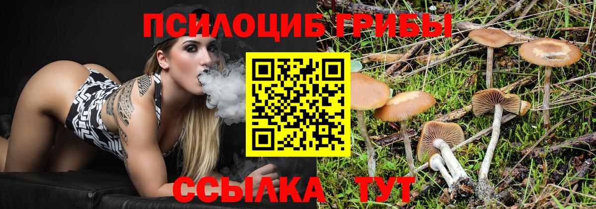 Псилоцибиновые грибы мицелий Тайшет
