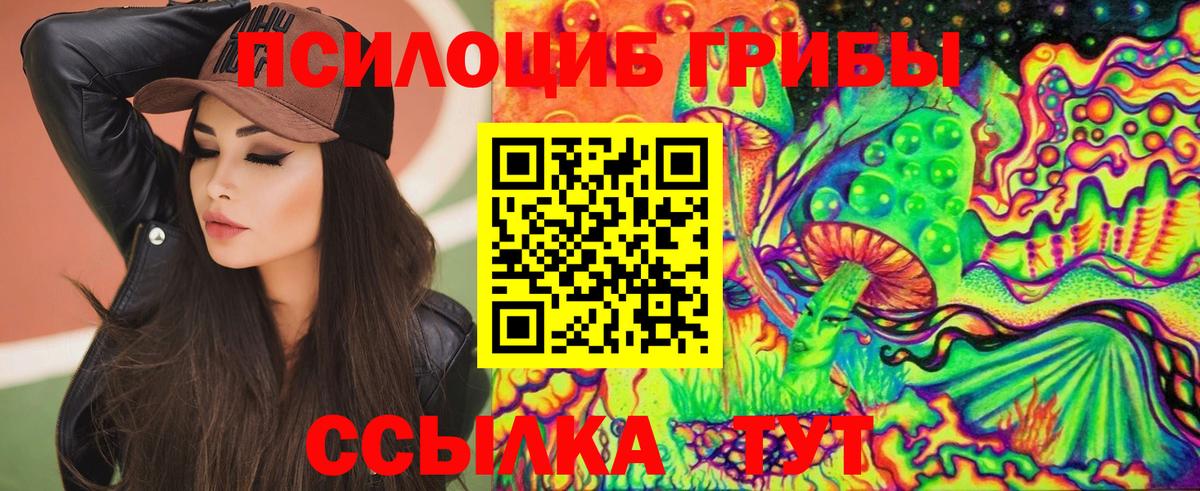 Галлюциногенные грибы прущие грибы  Галлюциногенные грибы мухоморы  Тайшет 