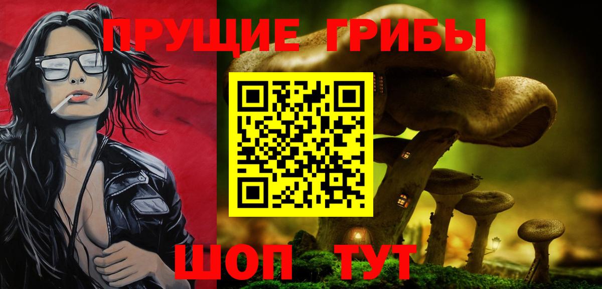 Тайшет  Галлюциногенные грибы ЛСД  Вход с VPN 