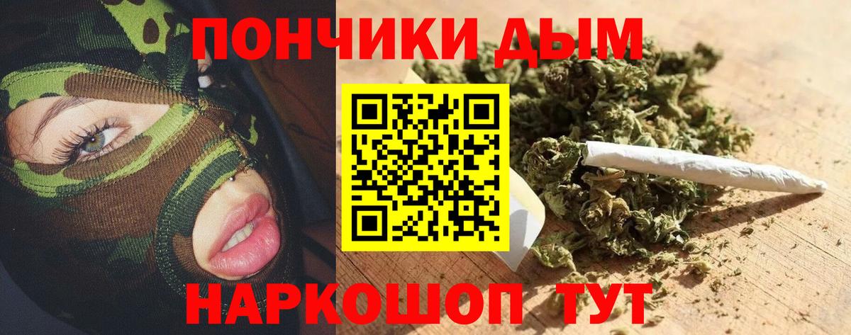 Бошки марихуана конопля  Конопля Ganja  Тайшет  Шишки марихуана Amnesia  Бошки марихуана ГИДРОПОН 